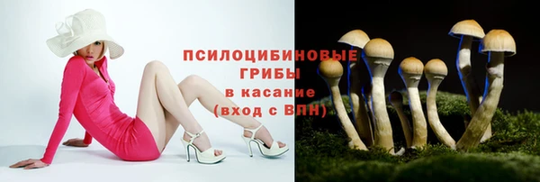 PSILOCYBIN Балахна
