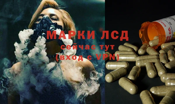 PSILOCYBIN Баксан