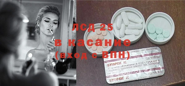 PSILOCYBIN Баксан